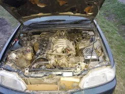 Honda Ascot ����