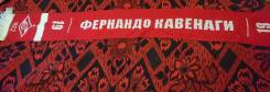 Шарф Спартак москва фернандо кавенаги