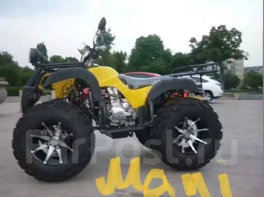 Suzuki. ��������, ��, ��� �������. ��� ����� �� ������������ ����