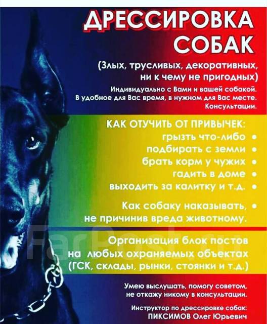 Дрессировка и воспитание 🐕 амстаффа в домашних условиях