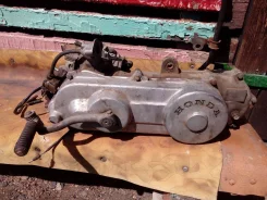 Honda Pal ����