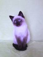Шотландская кошка.