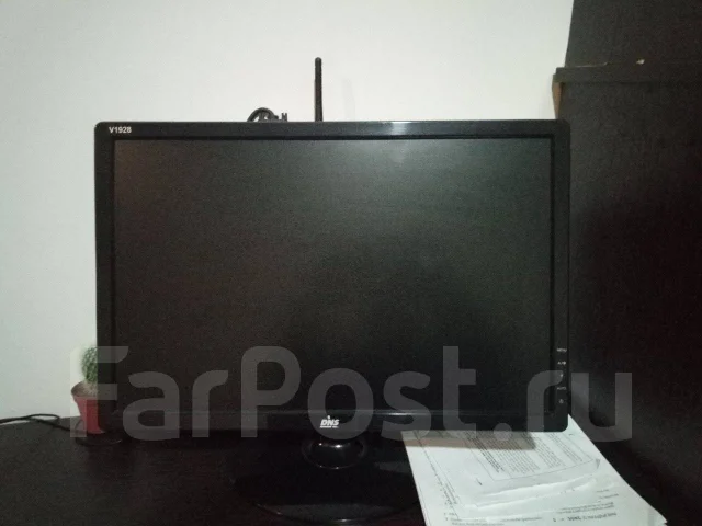 DNS. 19" ����