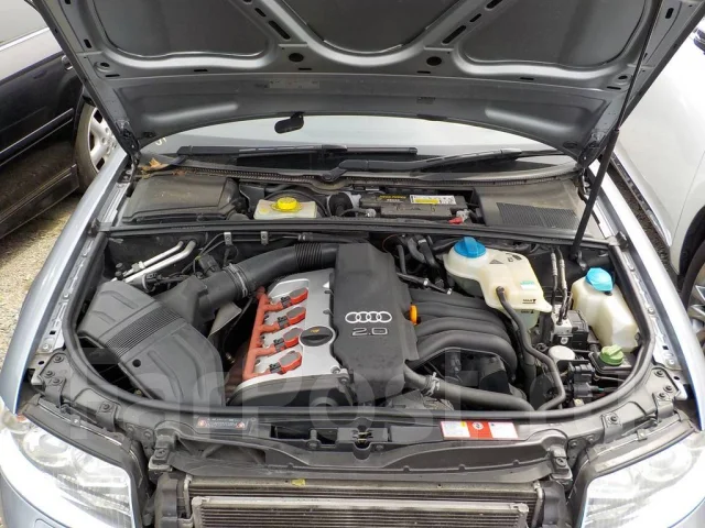 Audi A4. B6 8E5, 2000 ALT ����