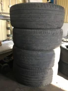 Lassa Competus. ������, 2015 ���, �/�, ����� 50 % ����