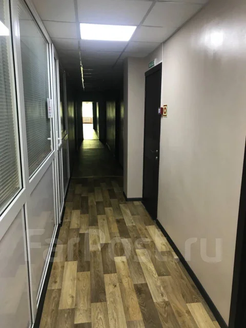 ������ ��������� ����