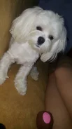 ����������� �������. ����