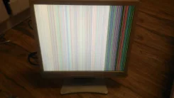 iiyama. 17", ���������� �� (LCD)
