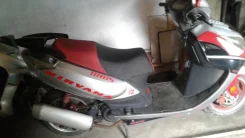 Irbis Nirvana. 150����. ��., ��������, ��� ���, � �������� ����