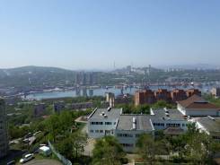 1-комнатная, улица Тунгусская 63. Гайдамак, агентство, 33 кв. м. Вид из окна днём
