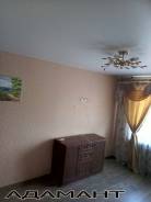 1-комнатная, улица Попова 116. Слобода, агентство, 32 кв. м.