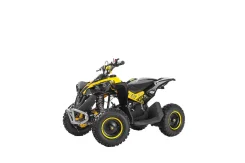 Bot Renegade 125. ��������, ��� ���\���, ��� ������� ����