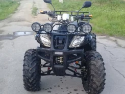 Yamaha Grizzly 250. ��������, ���� ���\���, � �������� ����