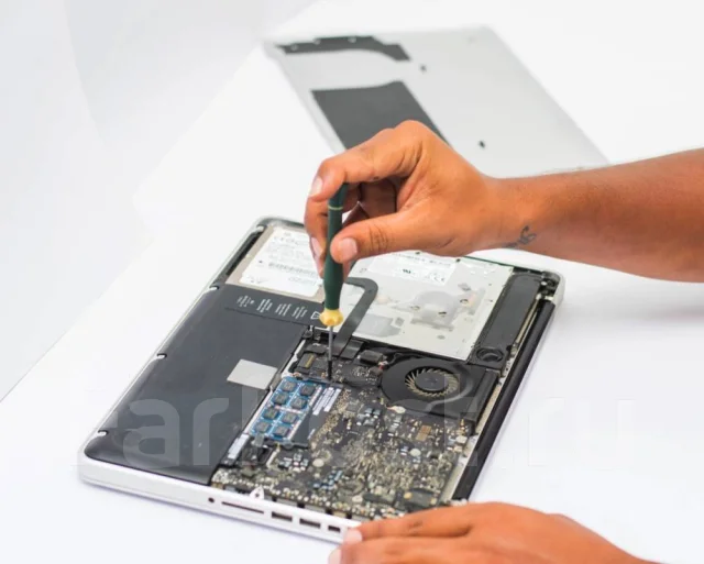 ������ ��������� Macbook. ����