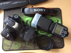 Sony Alpha SLT-A57. 15 - 19.9 ��, ���: 10� ����