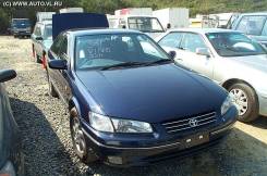 Toyota Camry Gracia. 1MZ