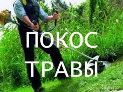 Покос травы. Клининг. Вывоз мусора