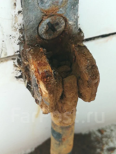 ������ ����. ����