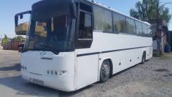 Neoplan. Продается автобус , 50 мест, В кредит, лизинг, С маршрутом, работой