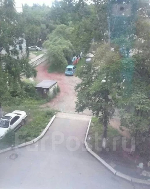 �������, ����� ������ 79. ����������, ������� ����, 17,1���.��. ��� �� ���� ���� ����