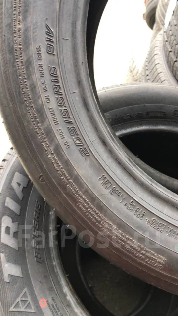 Dunlop Direzza ZII. ������, 2013 ���, ����� ����