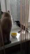 ������. ����