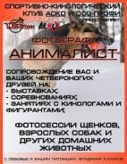 Дрессировка животных.