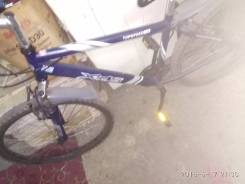 XDS