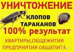 Уничтожение насекомых.