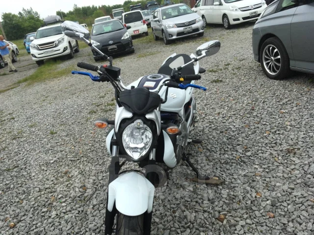 Suzuki SFV 650 Gladius. 650����. ��., ��������, ���������, ��� ������� ����