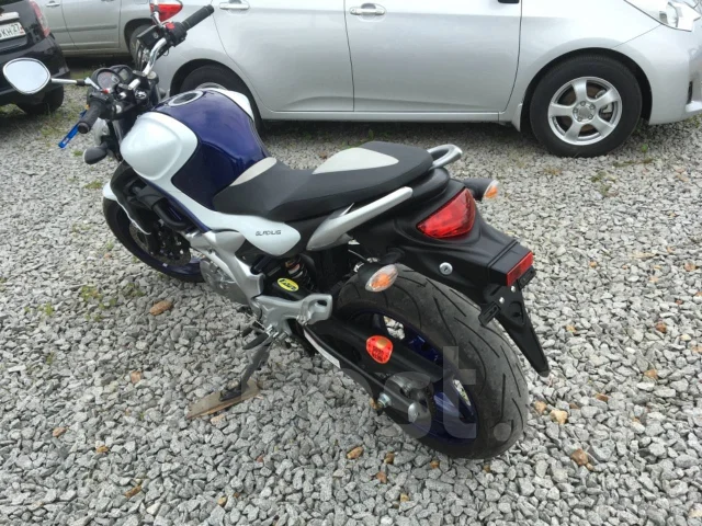 Suzuki SFV 650 Gladius. 650����. ��., ��������, ���������, ��� ������� ����