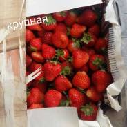 Клубника. Под заказ