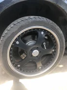 Strut. x22" ����