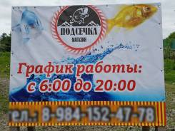 Черви.