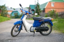 Suzuki Birdie. 50����. ��., ��������, ���, ��� ������� ����