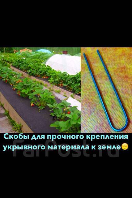 Черный материал Агротекс от сорняков для клубники (геотекстиль), новый ...