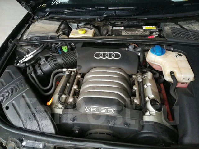 Audi A4. B6 8E5, 3000 ASN ����