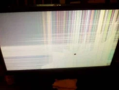 LG. 19", ���������� �� (LCD)