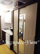 Гостинка, улица Гамарника 21. Столетие, агентство, 24 кв. м. Прихожая