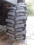 Interco TSL Bogger. �����������, �/�, ����� 60 % ����