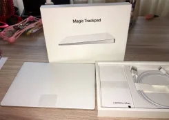 ��������. ����