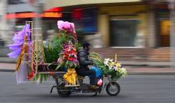 Шанхай. Экскурсионный тур. Шанхай Авиа 5 дней