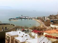 1-комнатная, улица Тигровая 26. Центр, 33 кв. м. Вид из окна днем
