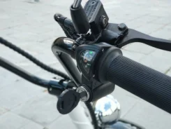 Seev Citycoco. ��������, ��� ���, � ��������