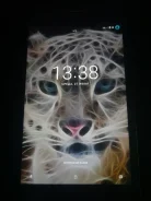Irbis ����