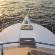 Carver. 2008 ���, ����� 9��., ��������� ������������, 460��.�., ������ ����
