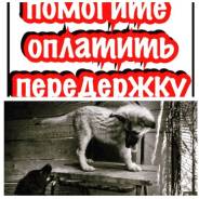 Срочно нужна помощь оплатить передержку животным, фонда иначе выселят!