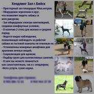 Хендлинг Зал г. Бийск