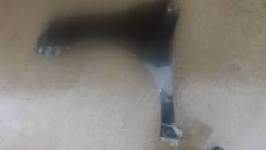 Крыло. Toyota Corolla Axio, NZE141, NZE144, ZRE142, ZRE144 Toyota Corolla Fielder, NZE141, NZE141G, NZE144, NZE144G, ZRE142, ZRE142G, ZRE144, ZRE144G...