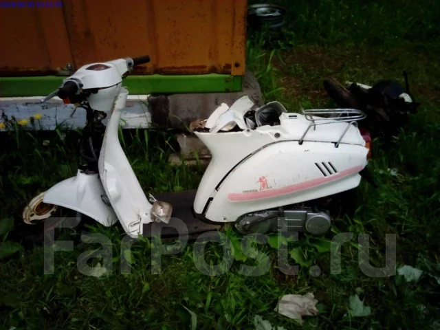 Suzuki Ran ����
